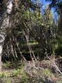741 Forgotten Lane - Photo 20