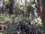 741 Forgotten Lane - Photo 23