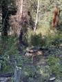 741 Forgotten Lane - Photo 25