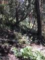 741 Forgotten Lane - Photo 4