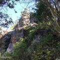 741 Forgotten Lane - Photo 6