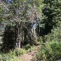 741 Forgotten Lane - Photo 9