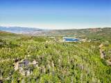 10385 Deer Creek Drive - Photo 15