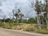 10385 Deer Creek Drive - Photo 17