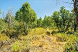 10385 Deer Creek Drive - Photo 26