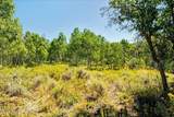 10385 Deer Creek Drive - Photo 27