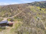 2517 Forest Circle - Photo 4