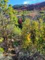9274 Deer Creek Drive - Photo 51