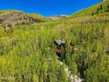 11137 Big Cottonwood Canyon Road - Photo 7