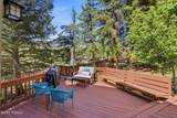 3021 Arabian Drive - Photo 41