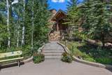 35 White Pine Canyon Road - Photo 3