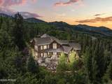35 White Pine Canyon Road - Photo 6