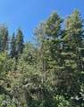 390 Aspen Drive - Photo 3