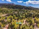 310 Scenic Drive - Photo 86