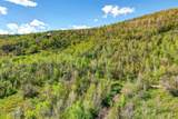 4967 Woodland Way - Photo 8