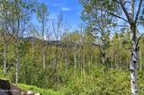 2523 Aspen Springs Drive - Photo 73