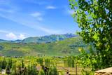 5478 Old Ranch Road - Photo 105