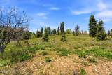 1890 Elk Road - Photo 10