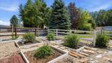 3220 Horse Thief Drive - Photo 56