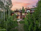 39 White Pine Canyon Road - Photo 3
