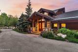 39 White Pine Canyon Road - Photo 5