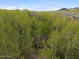 11356 Columbine Lane - Photo 49