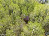 11356 Columbine Lane - Photo 50