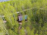 11356 Columbine Lane - Photo 51