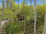 11356 Columbine Lane - Photo 54