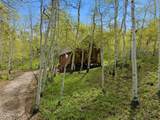 11356 Columbine Lane - Photo 56