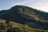 217 White Pine Canyon Road - Photo 49