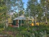 8313 Forest Creek Road - Photo 100