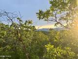 1556 Tree Top Lane - Photo 1
