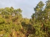 1556 Tree Top Lane - Photo 10