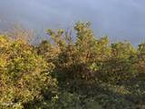 1556 Tree Top Lane - Photo 12
