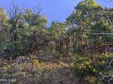 1556 Tree Top Lane - Photo 14