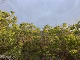 1556 Tree Top Lane - Photo 16