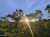 1556 Tree Top Lane - Photo 4