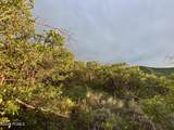 1556 Tree Top Lane - Photo 9
