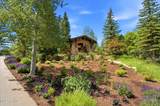 35 Sandstone Cove - Photo 105