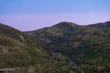 2237 Creek Crossing Loop - Photo 55