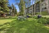 405 Silver King Drive - Photo 21