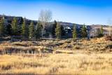 705 Hollyhock Street - Photo 12