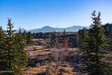 705 Hollyhock Street - Photo 13