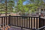2325 Sidewinder Drive - Photo 11