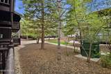 2325 Sidewinder Drive - Photo 13