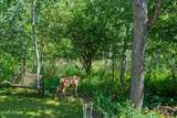 726 Donner Hill Circle - Photo 46
