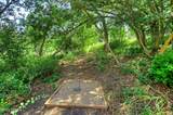 726 Donner Hill Circle - Photo 49
