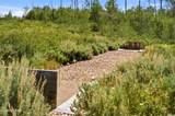 8891 Forest Creek Road - Photo 84