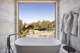 3125 Horse Mountain Circle - Photo 35
